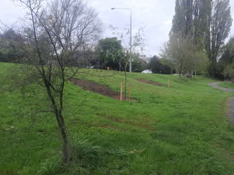 Parks, a report photo