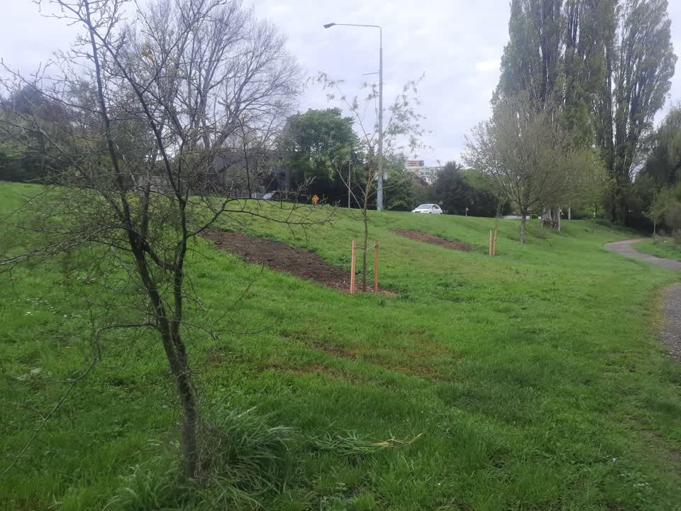 The photograph attached to this parks report