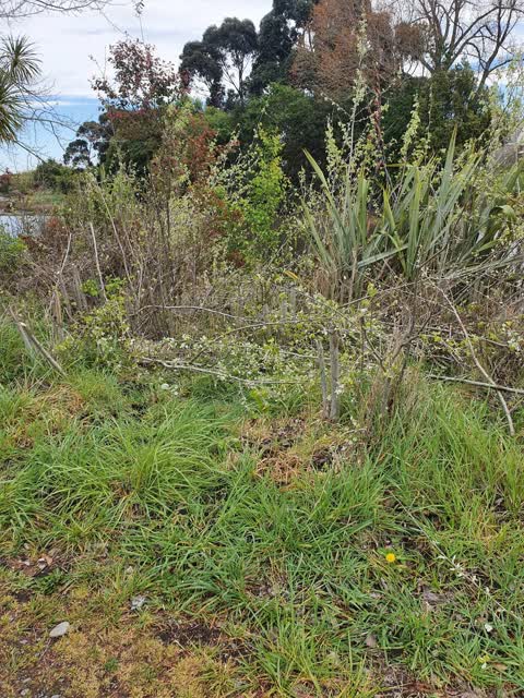 General Request, a report photo