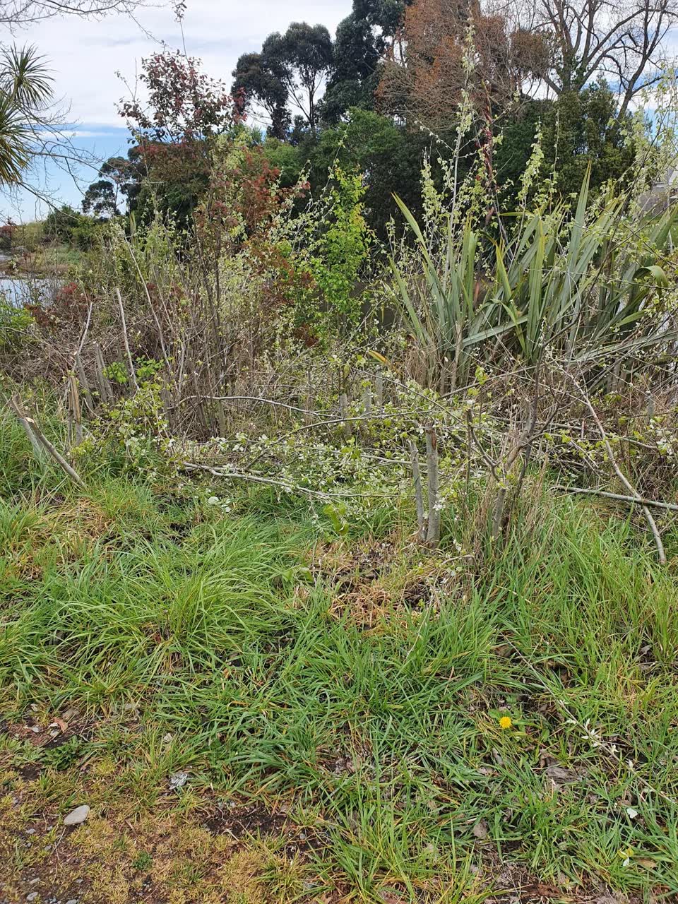 The photograph attached to this general request report