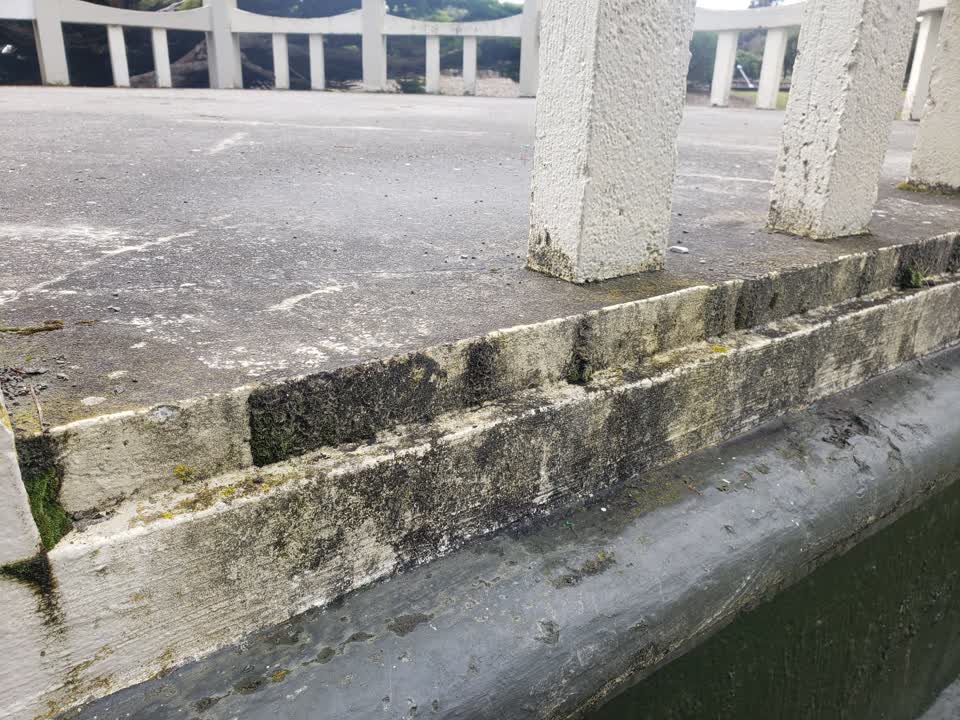 The photograph attached to this parks report