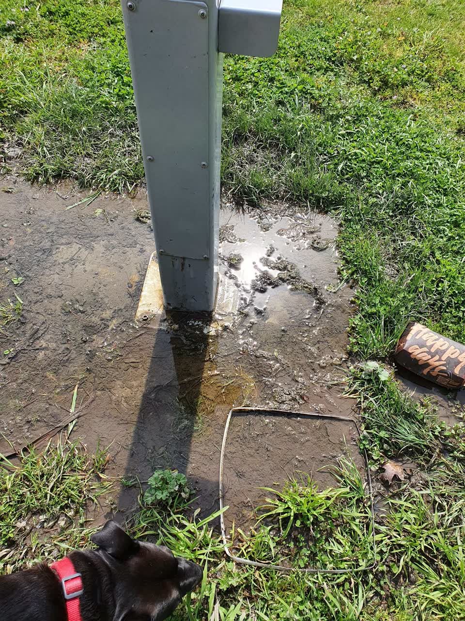 The photograph attached to this water leak report