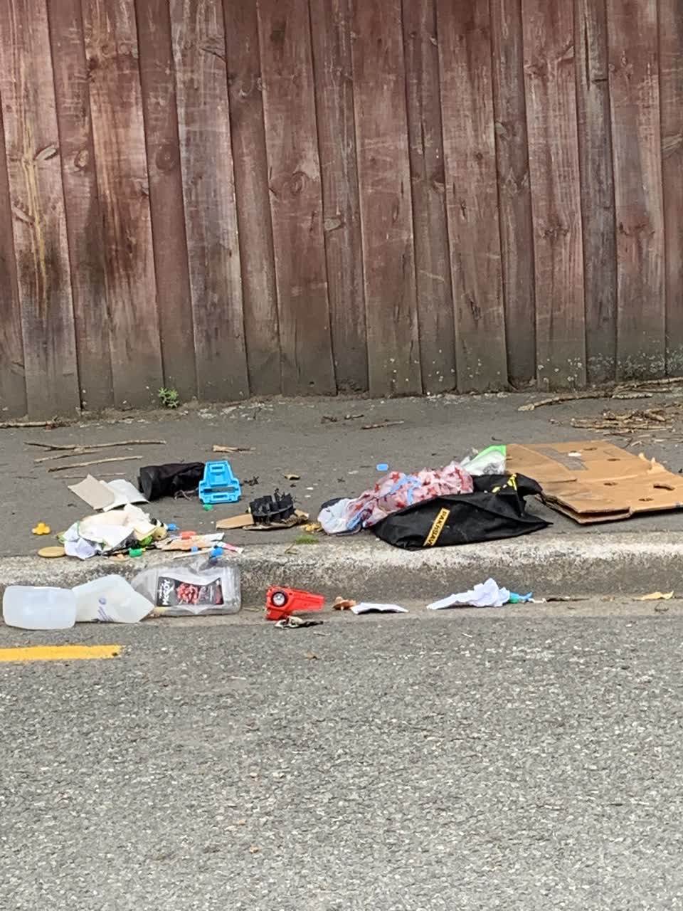 The photograph attached to this rubbish/recycling report