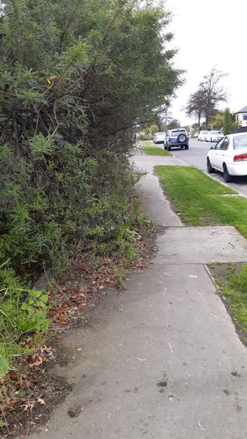 Roading/Streets, a report photo