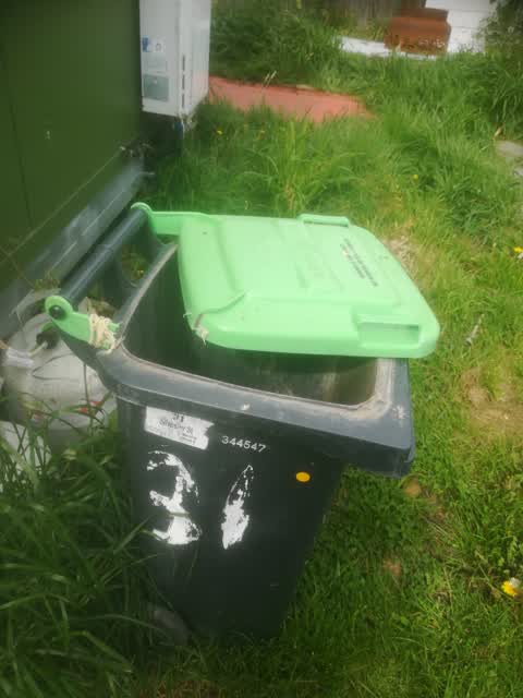 Rubbish/Recycling, a report photo