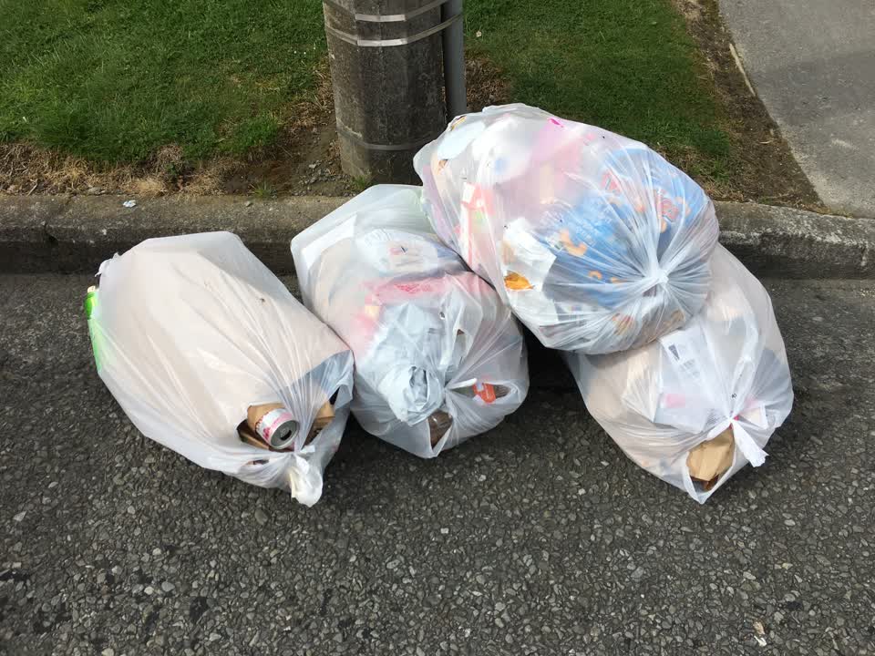 The photograph attached to this rubbish/recycling report
