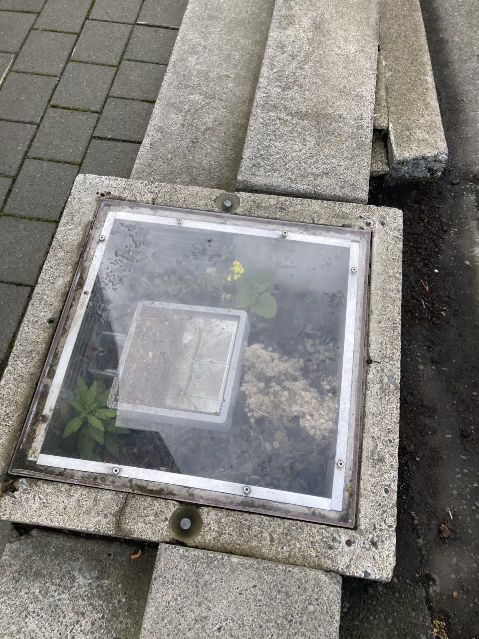 The photograph attached to this street light outage report