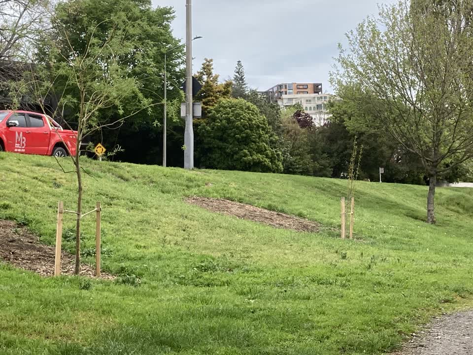 The photograph attached to this parks report