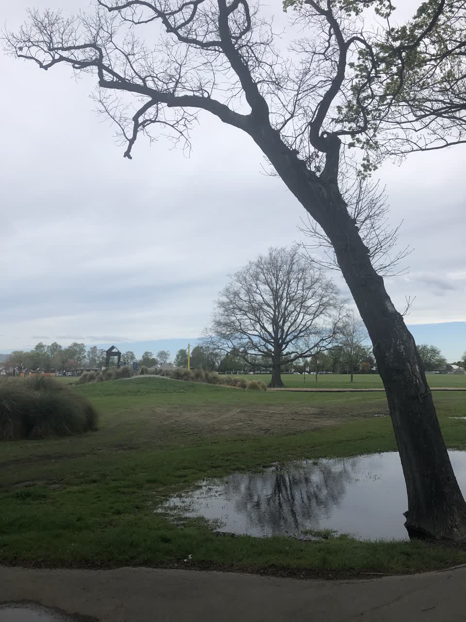 The photograph attached to this parks report