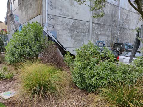 Parks, a report photo