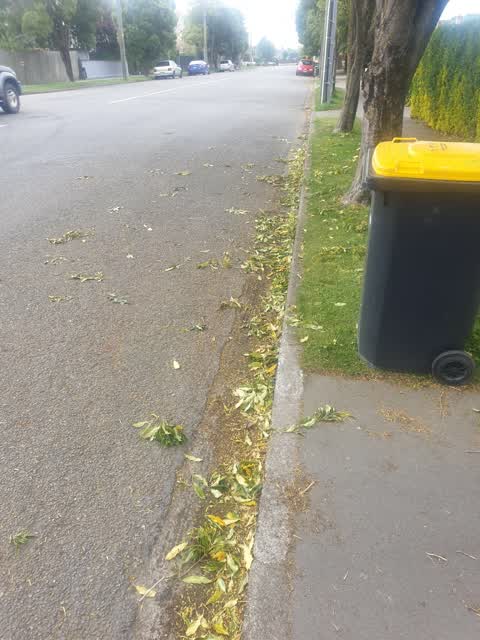 Roading/Streets, a report photo