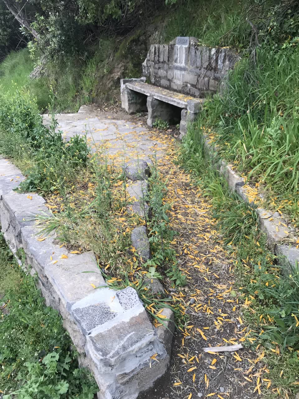The photograph attached to this parks report
