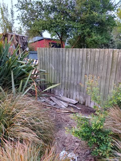 Parks, a report photo