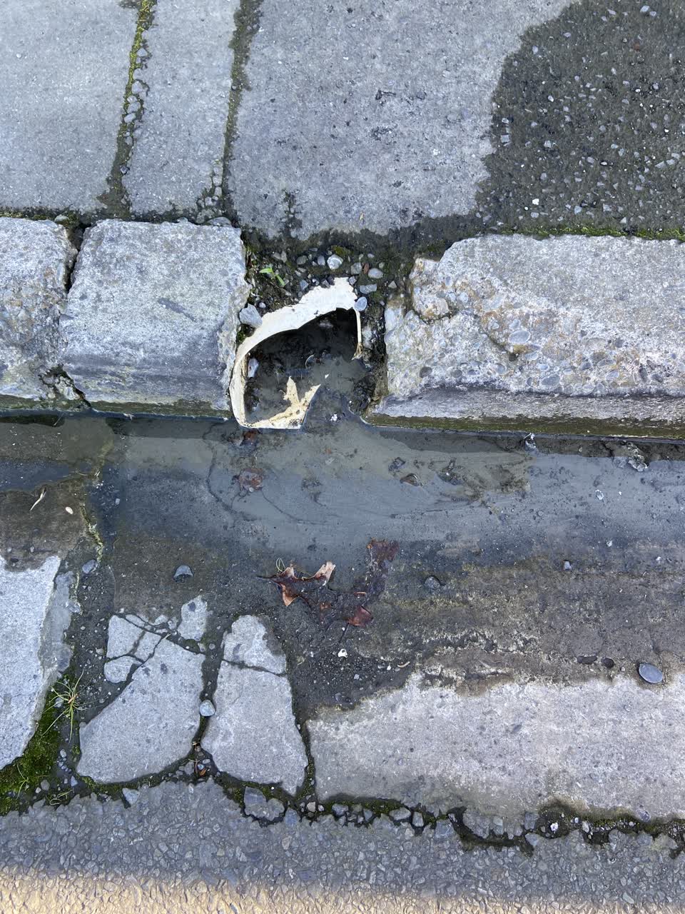 The photograph attached to this water leak report