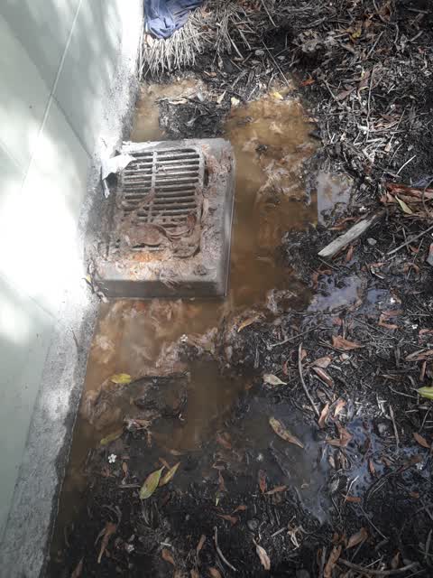 Sewer - Leak / Blockage, a report photo