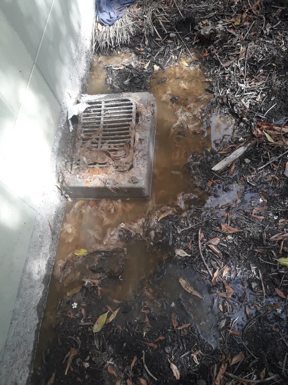 The photograph attached to this sewer - leak / blockage report