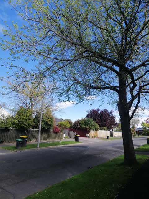 Roading/Streets, a report photo