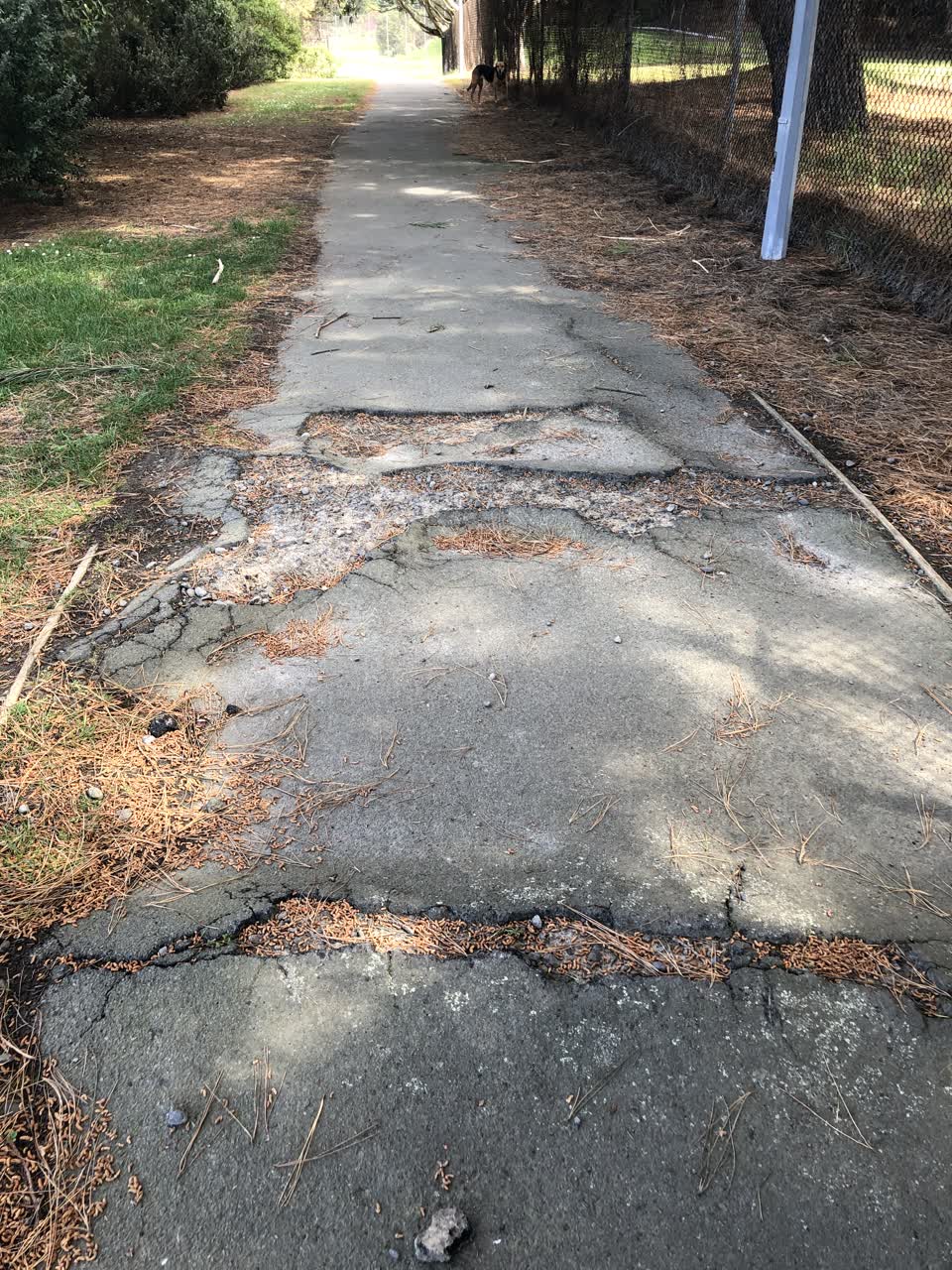 The photograph attached to this parks report