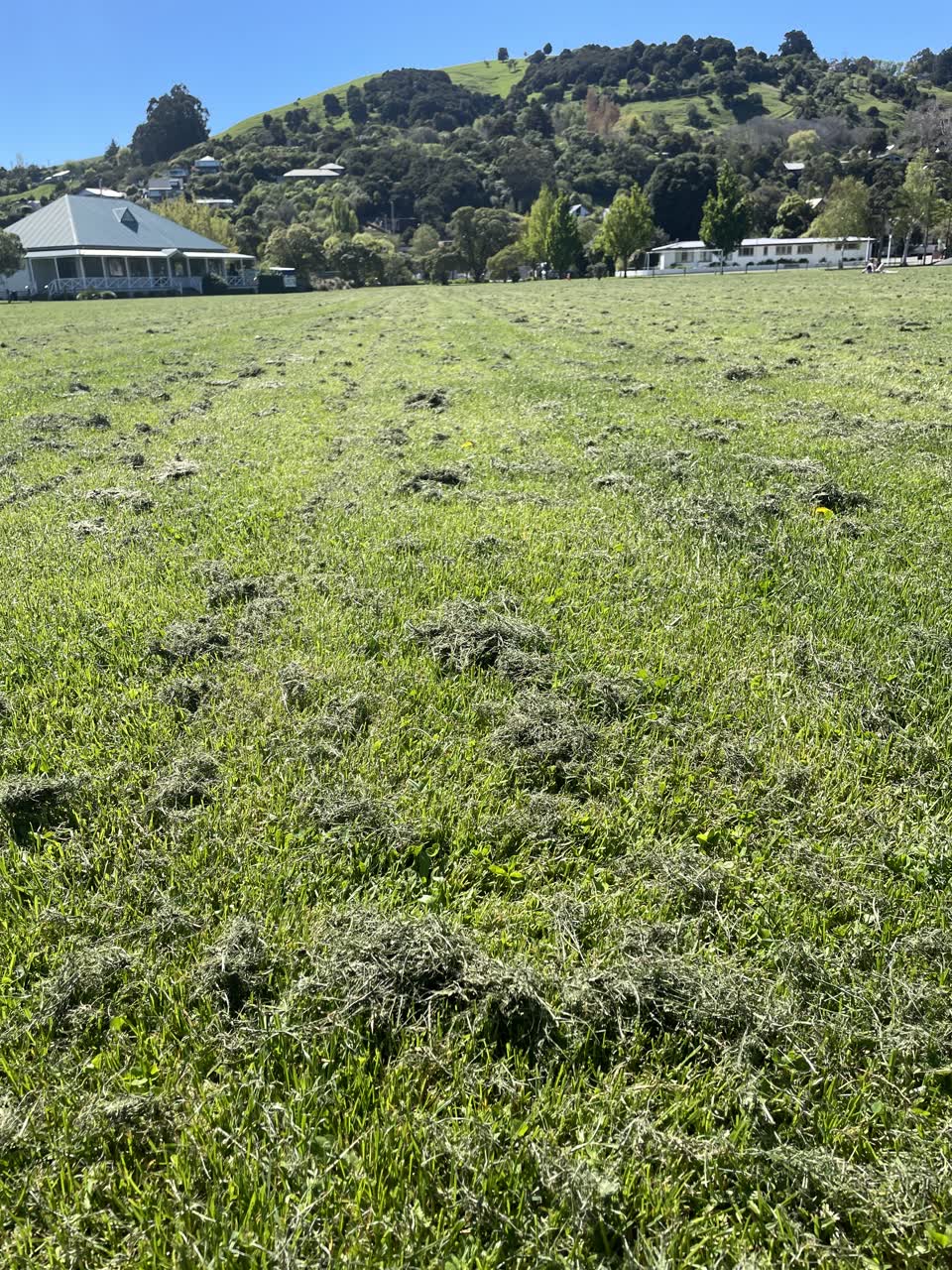 The photograph attached to this parks report