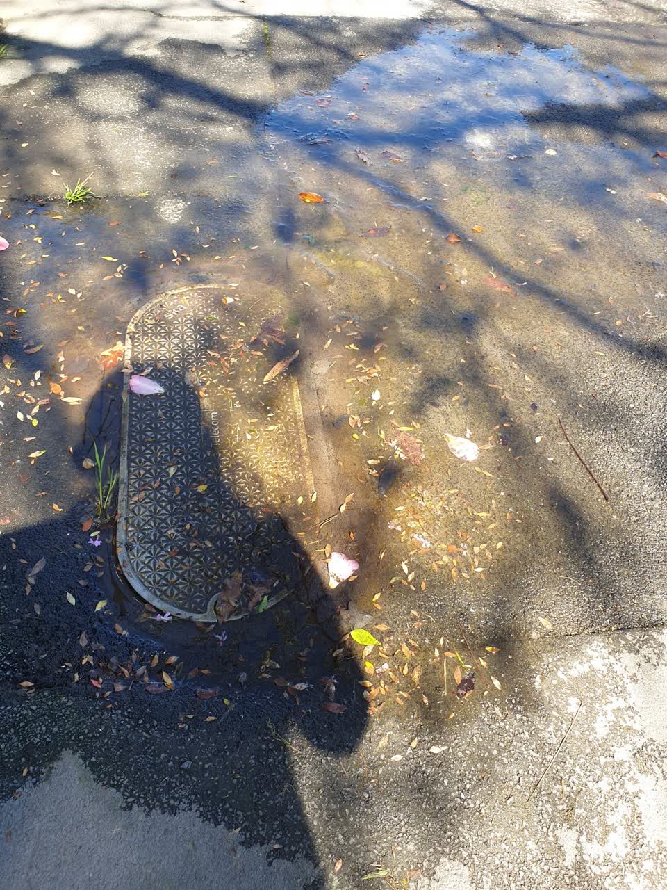 The photograph attached to this flooding report