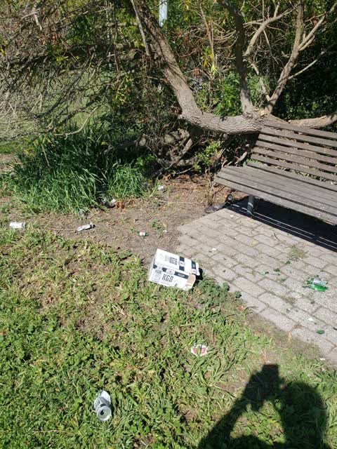 Parks, a report photo