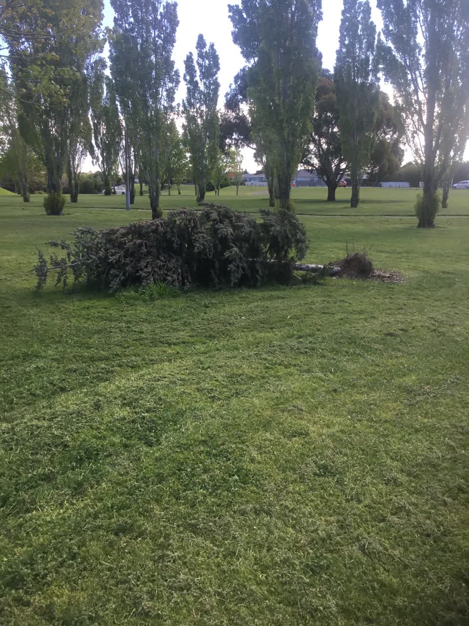 The photograph attached to this parks report