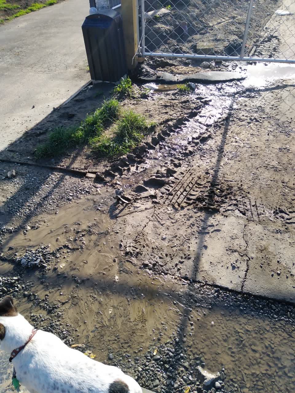The photograph attached to this water leak report