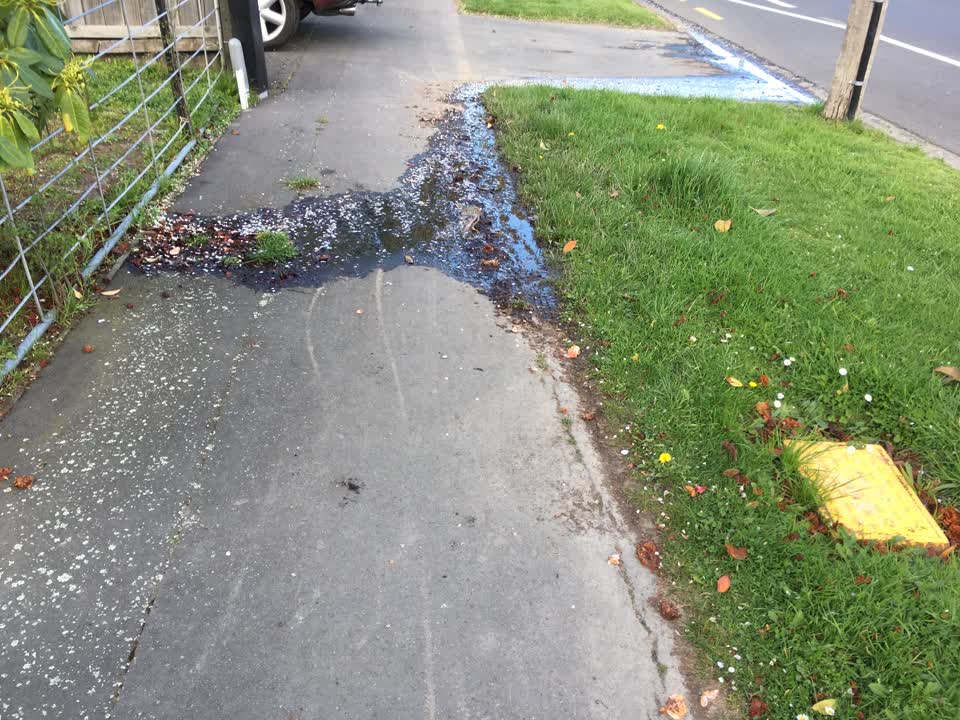 The photograph attached to this water leak report