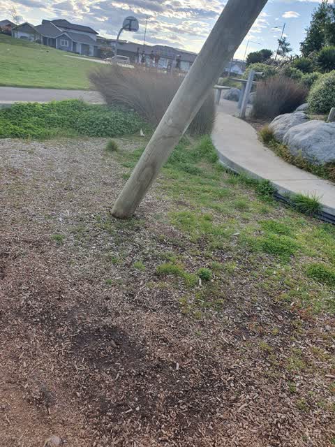 Parks, a report photo