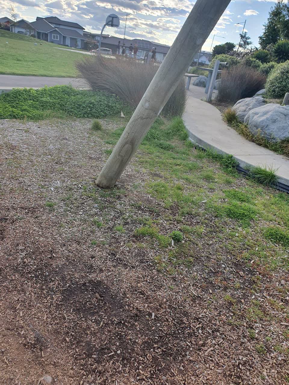 The photograph attached to this parks report