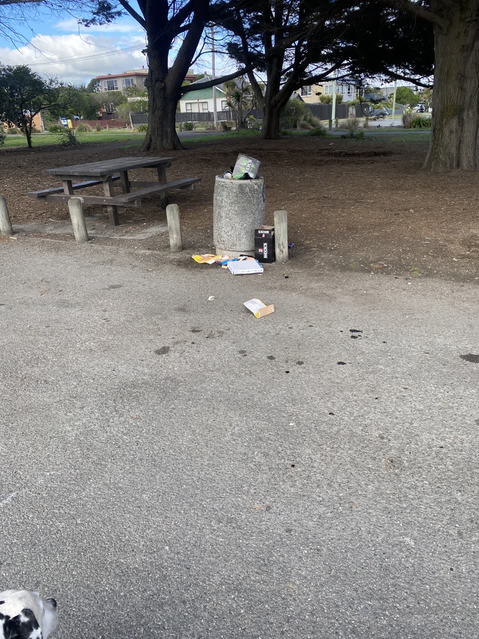 The photograph attached to this rubbish/recycling report