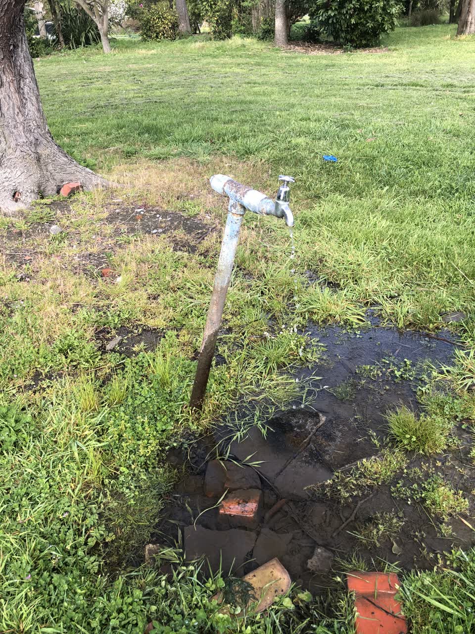 The photograph attached to this water leak report
