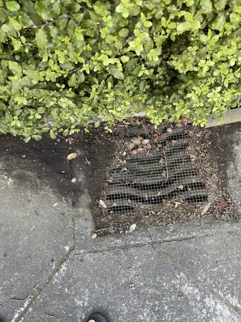 Wastewater/Stormwater, a report photo