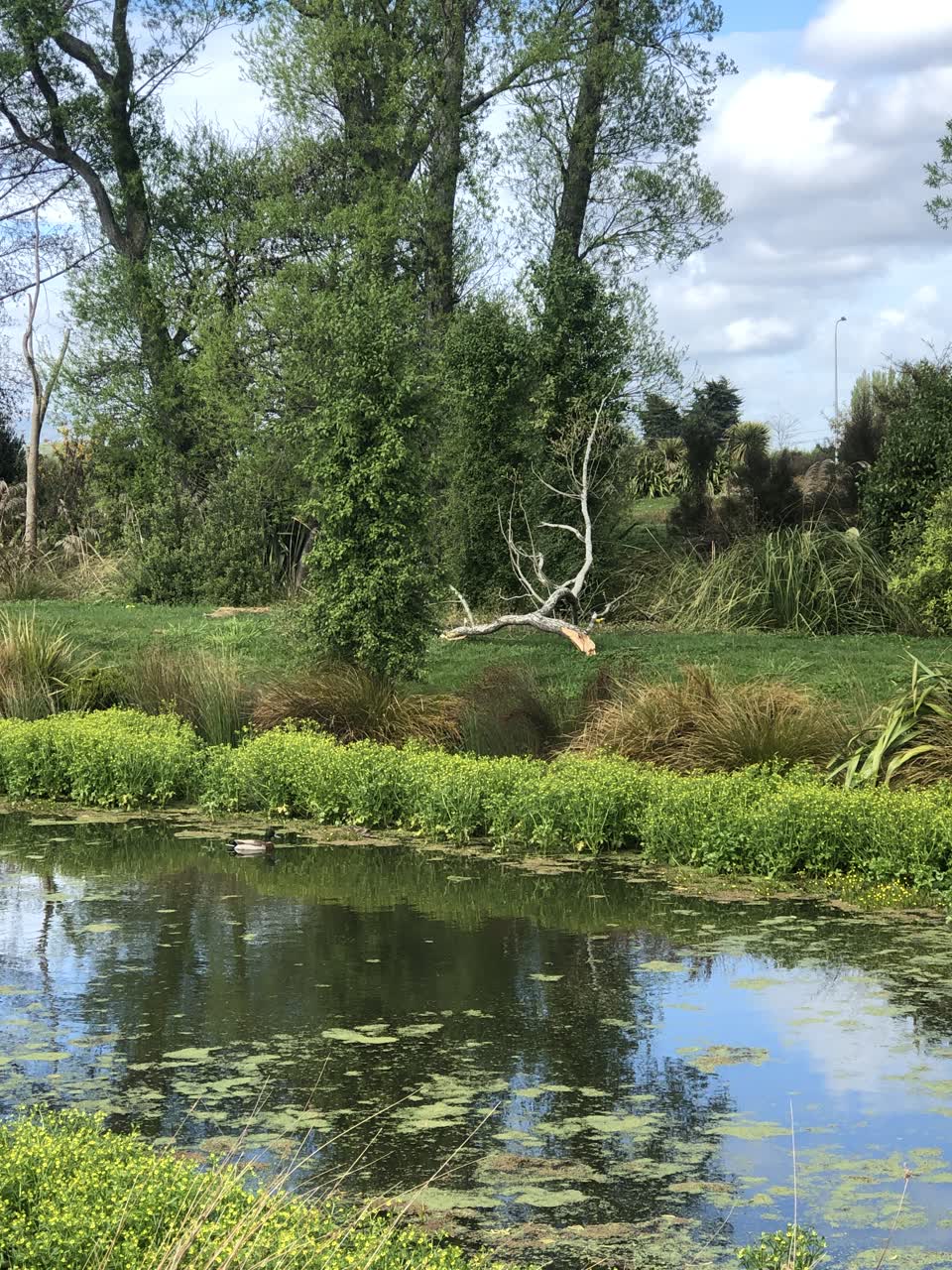 The photograph attached to this parks report
