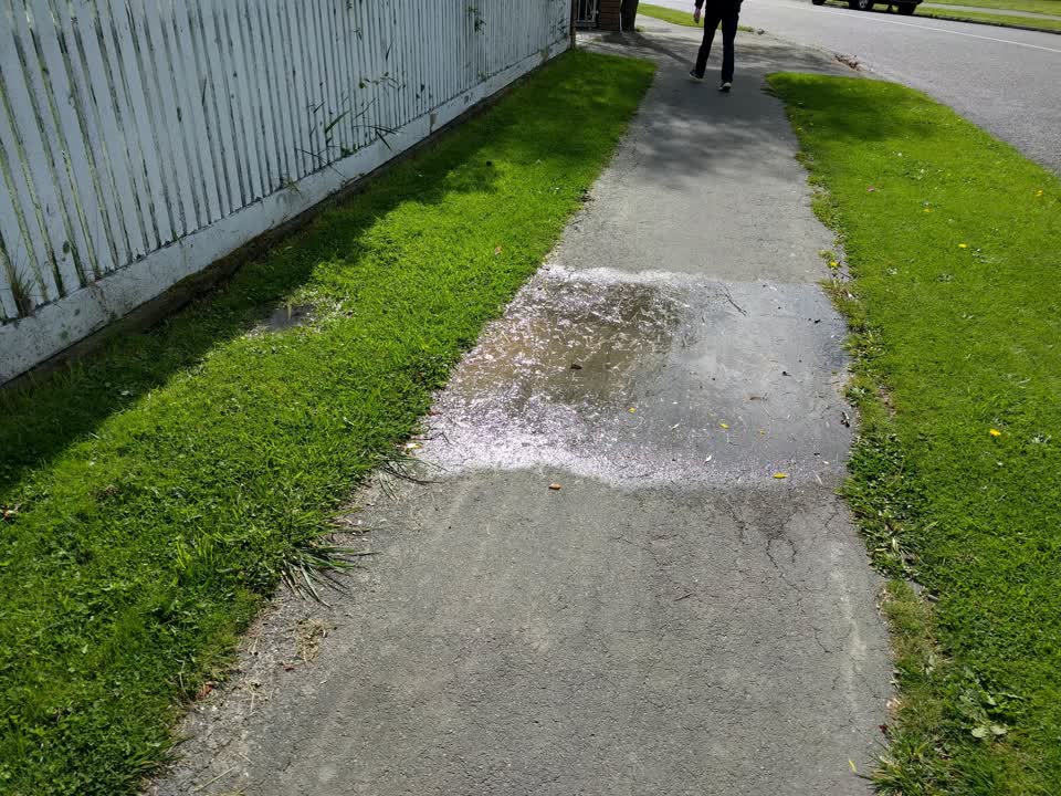 The photograph attached to this water leak report