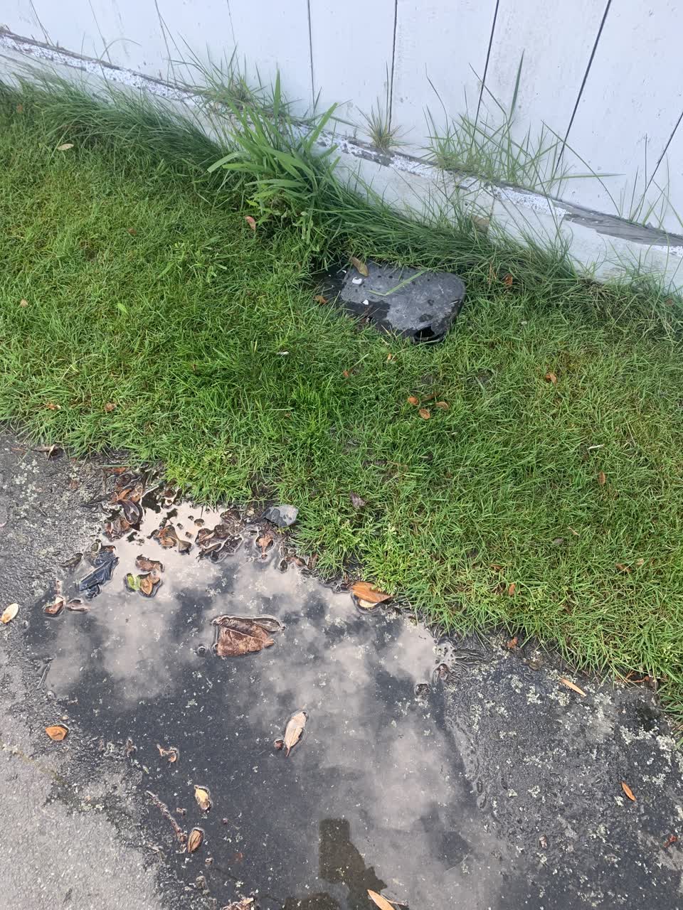 The photograph attached to this water leak report