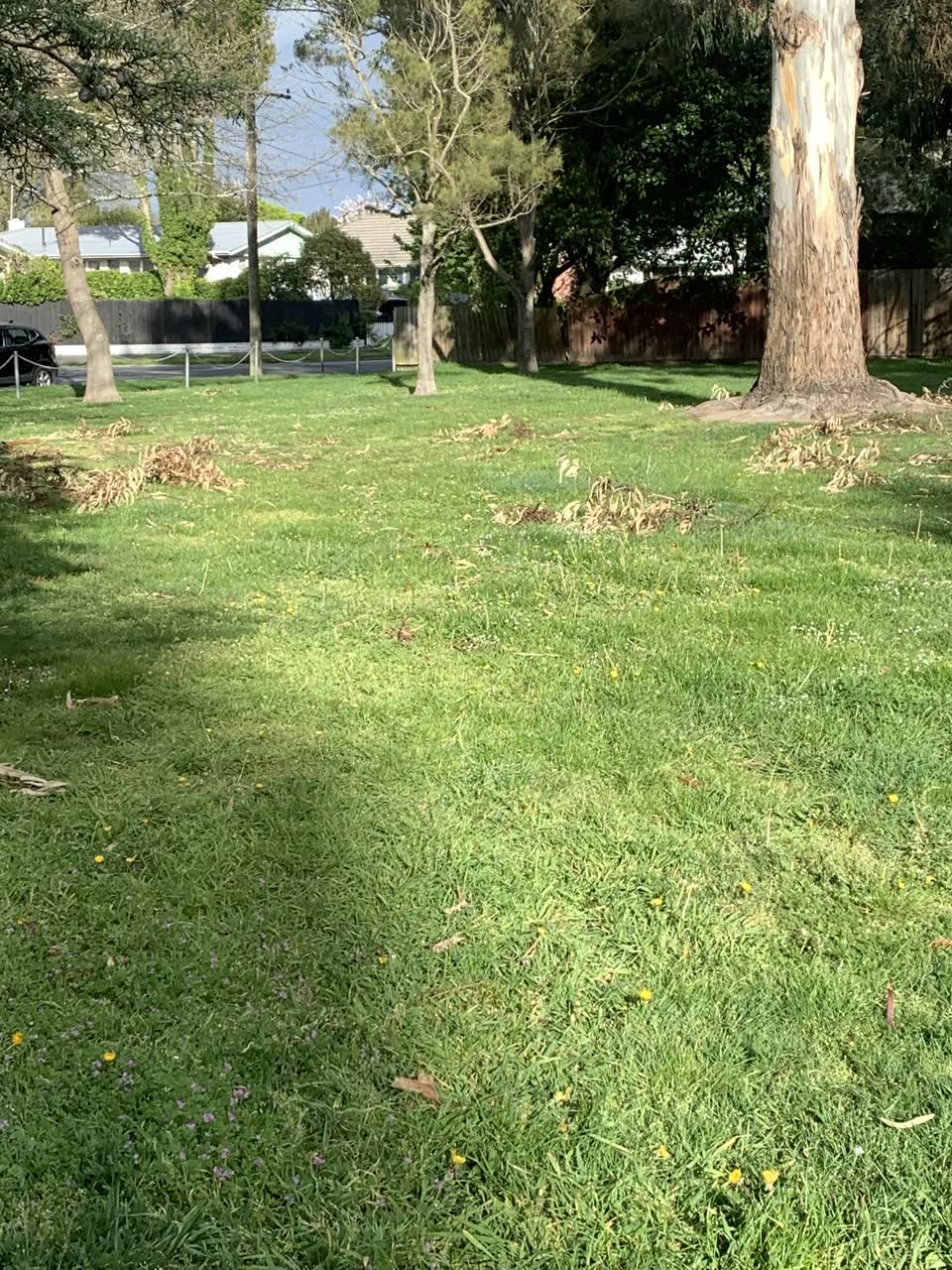 The photograph attached to this parks report