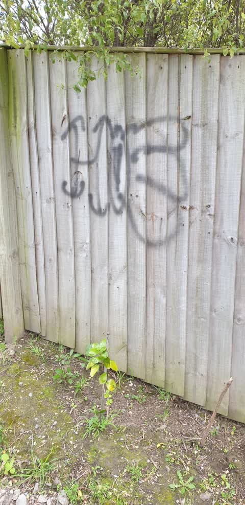 Graffiti, a report photo