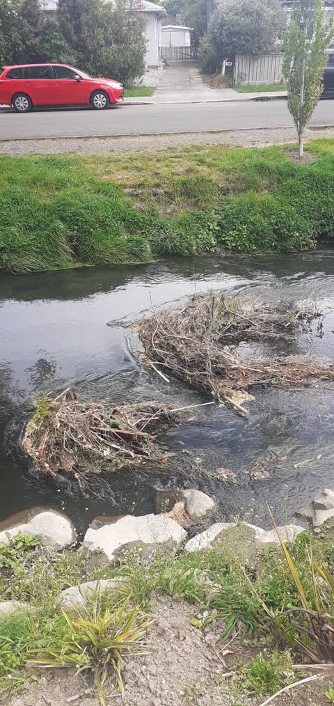 Rubbish/Recycling, a report photo