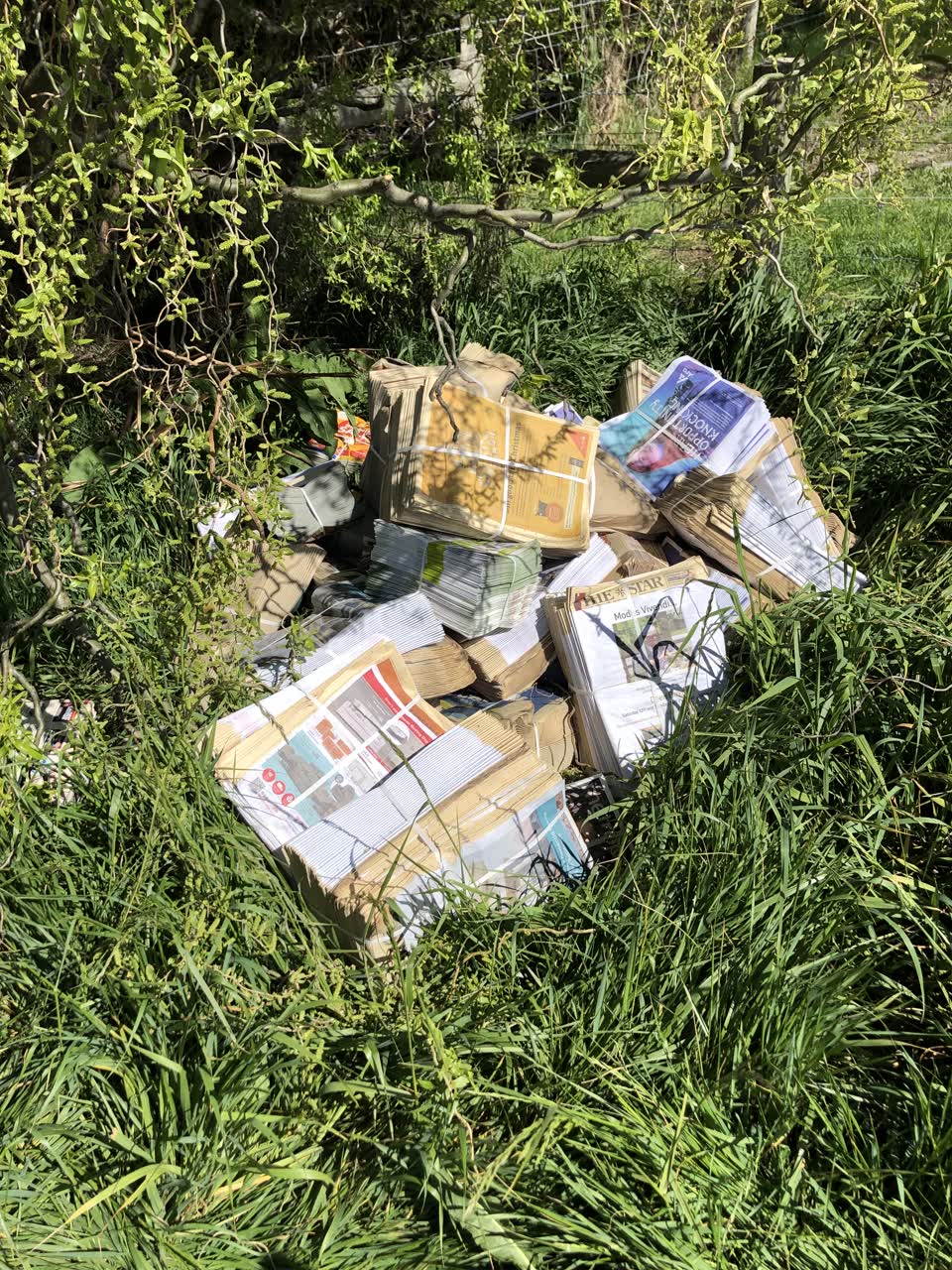 The photograph attached to this rubbish/recycling report