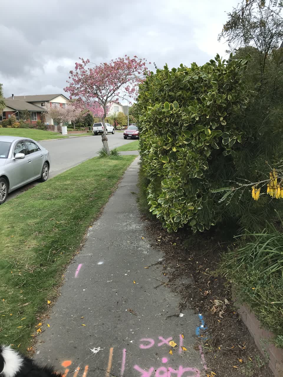 The photograph attached to this roading/streets report