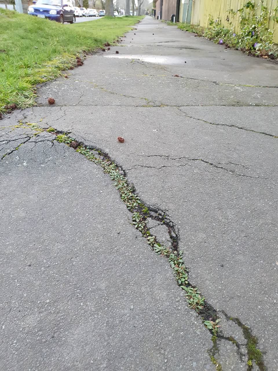 The photograph attached to this roading/streets report