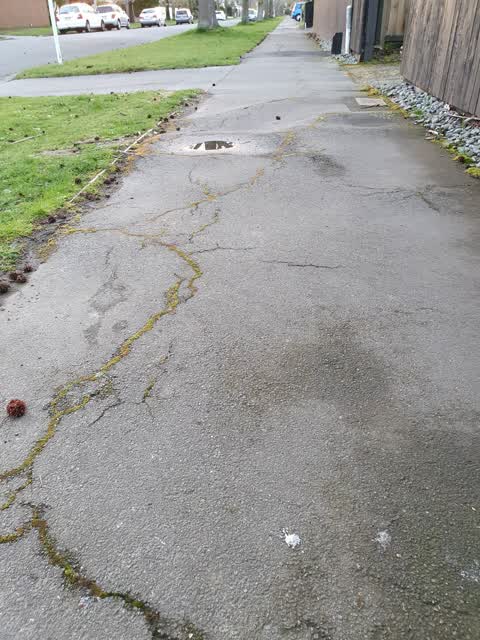 Roading/Streets, a report photo
