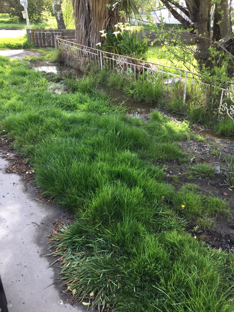 The photograph attached to this water leak report