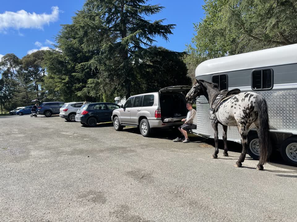 The photograph attached to this parks report