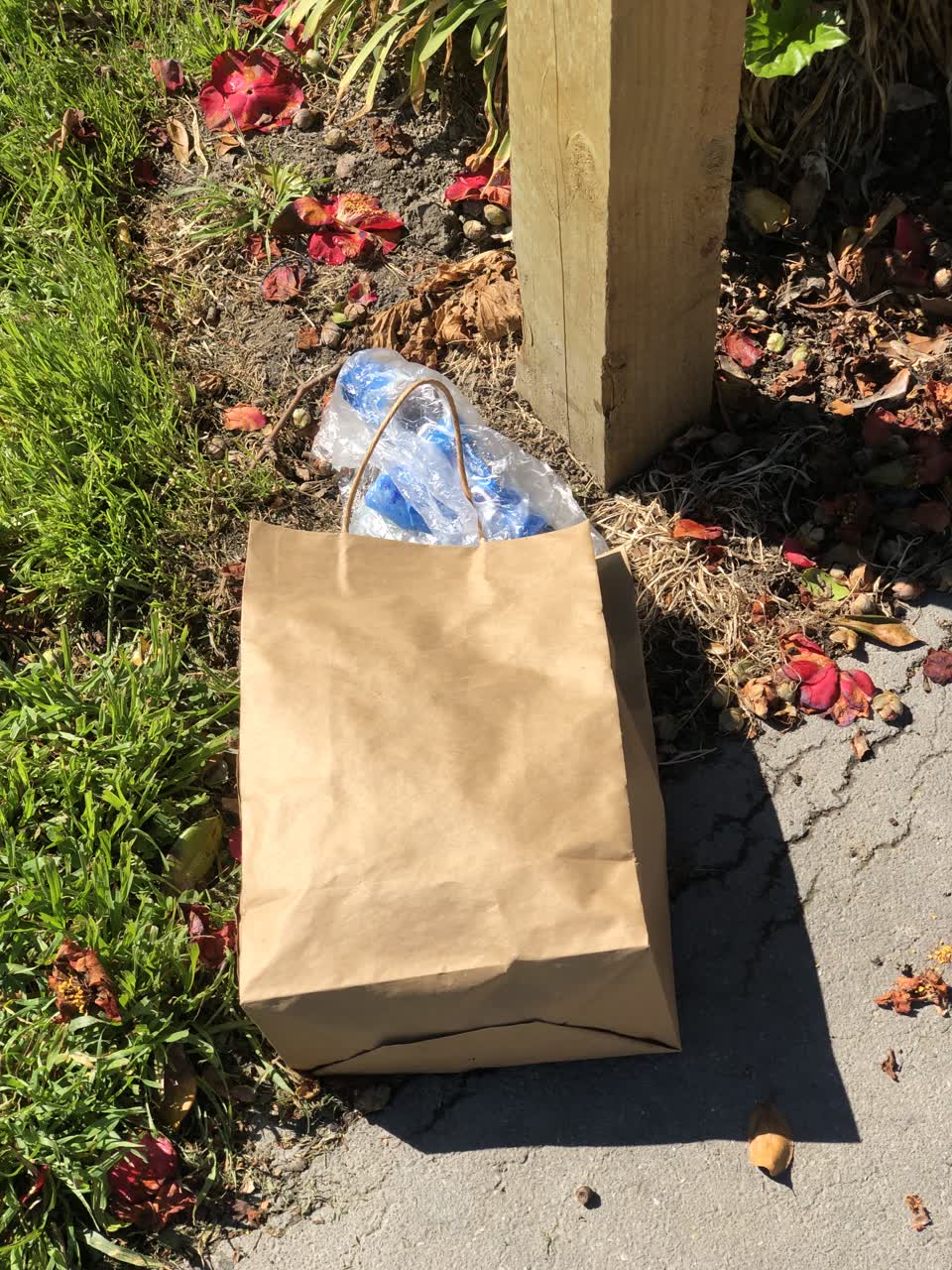 The photograph attached to this parks report
