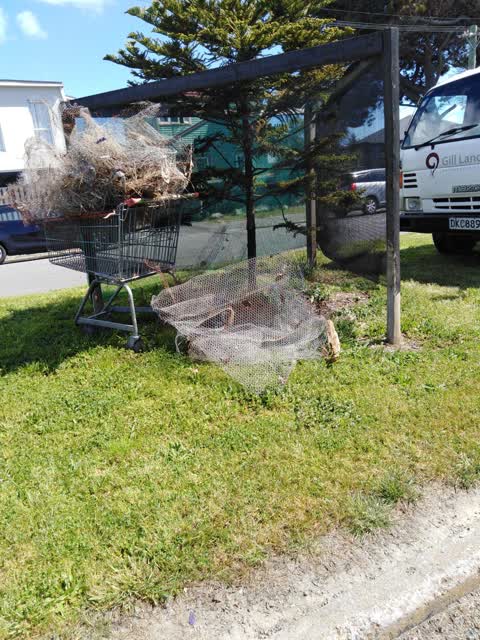 Rubbish/Recycling — a report photo