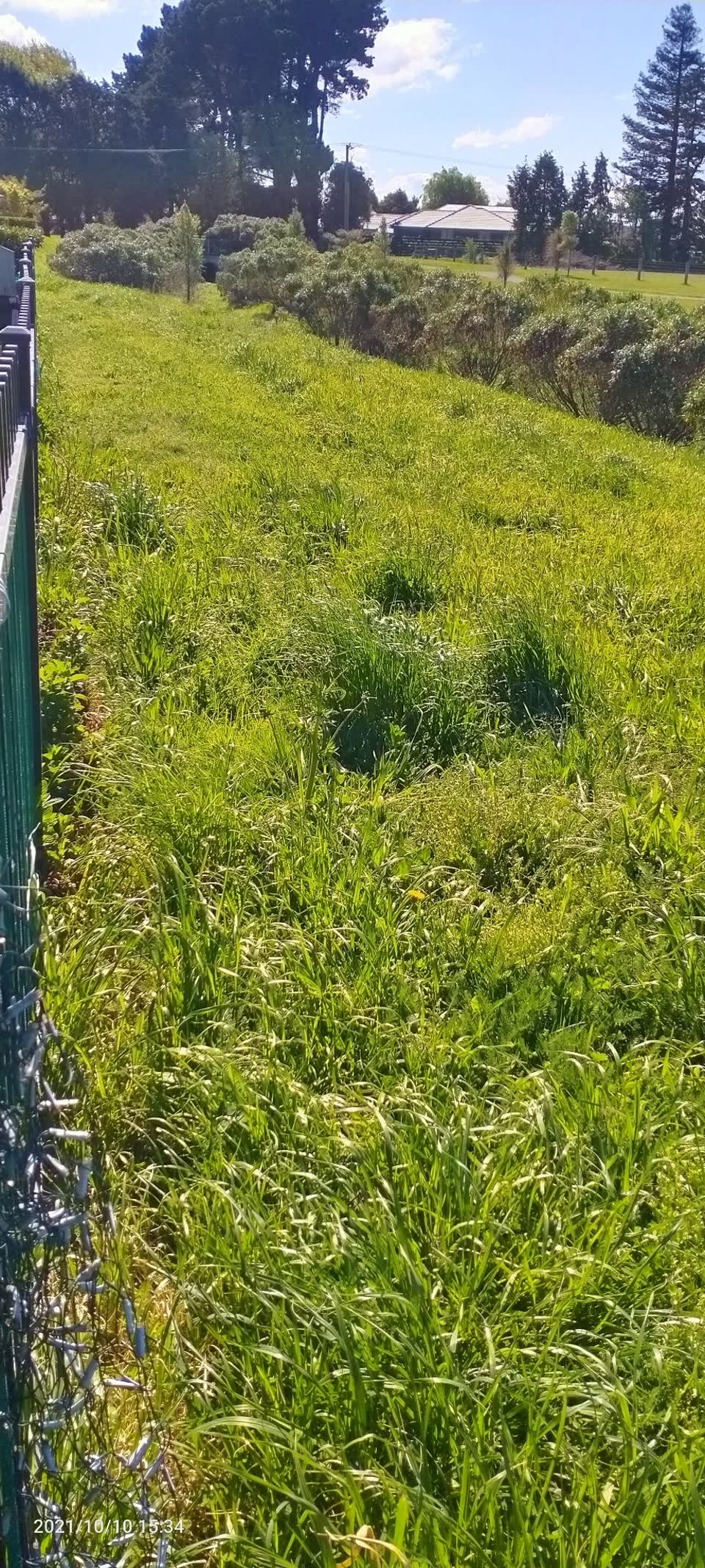 The photograph attached to this parks report