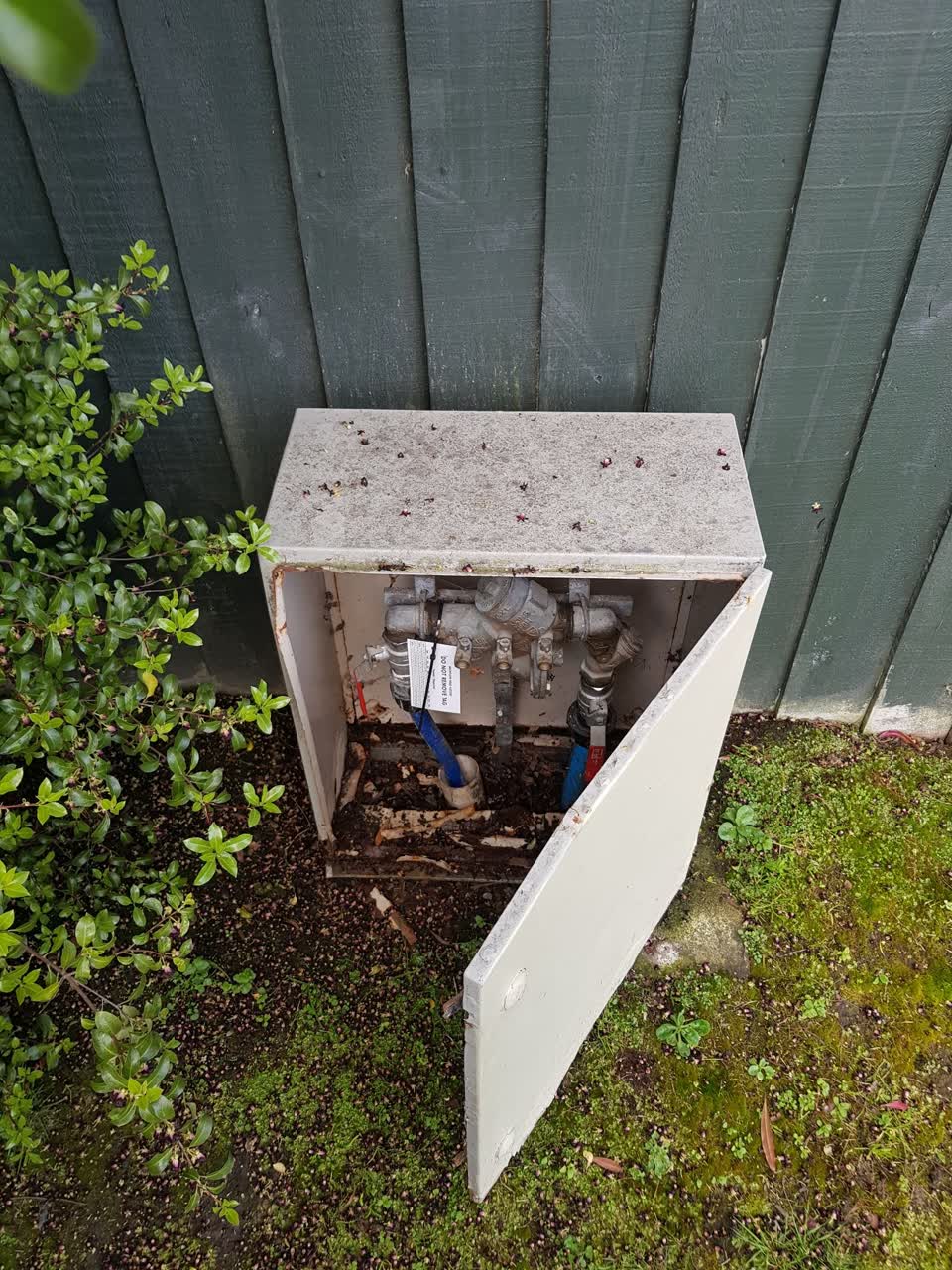 The photograph attached to this water supply report