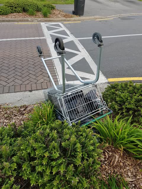 Rubbish/Recycling, a report photo
